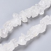 Natural Quartz Crystal Beads Strands G-I283-F06-1