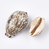 Cowrie Shell Beads SSHEL-S258-59A-2