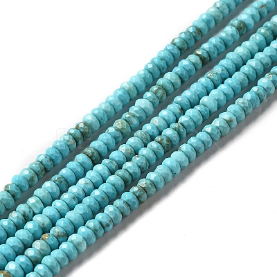 Natural Howlite Beads Strands G-C025-10B-1