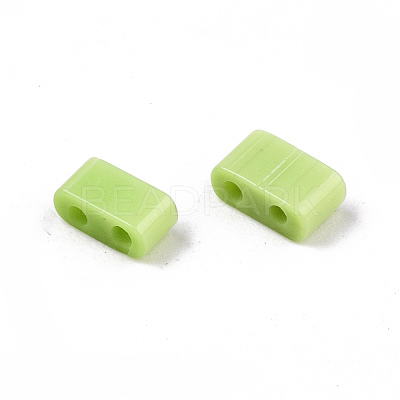 FGB 2-Hole Glass Seed Beads X-SEED-S031-M-SH44-1