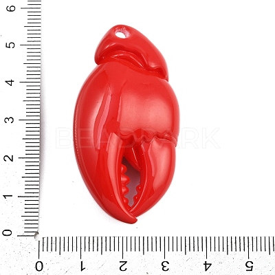 Acrylic Big Pendants OACR-D313-01A-1