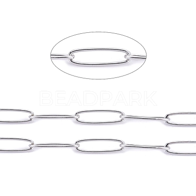Tarnish Resistant 304 Stainless Steel Paperclip Chains CHS-F010-01C-P-01-1