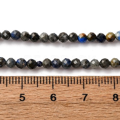 Natural Lapis Lazuli Beads Strands G-L629-B01-3mm-03-1