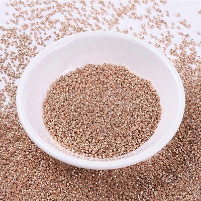 MIYUKI Delica Beads SEED-X0054-DB0434-1