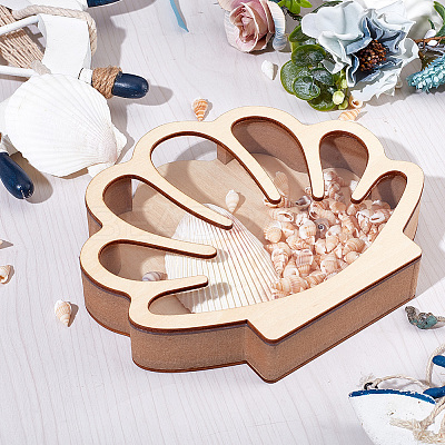 Shell Shaped Wooden Sea Shell Storage Display Cases with Visible Window ODIS-WH20012-01-1