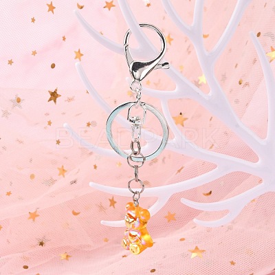 Iron Alloy Lobster Claw Clasp Keychain X-KEYC-D016-S-1