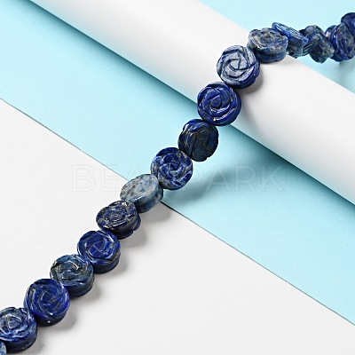 Natural Lapis Lazuli Beads Strands G-D475-01F-1