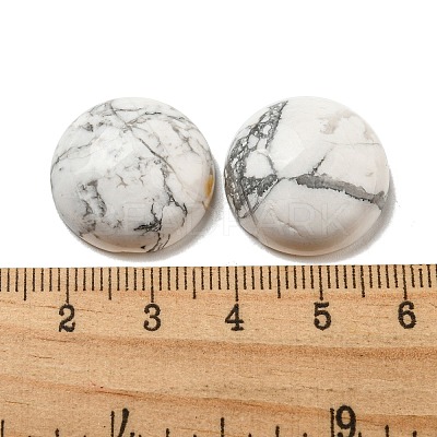 Natural Howlite Cabochons G-C115-02A-12-1