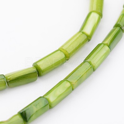Natural Shell Bead Strands X-BSHE-P016-16-1