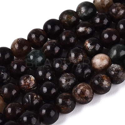 Natural Biotite Beads Strands G-Q616-01A-1