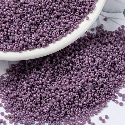 MIYUKI Round Rocailles Beads X-SEED-G009-RR4489-1