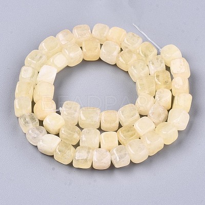 Natural Dolomite Beads Strands G-T131-56H-1