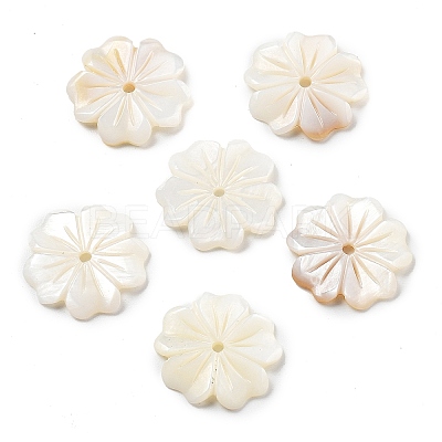 Natural Freshwater Shell Beads SHEL-Z002-02-1
