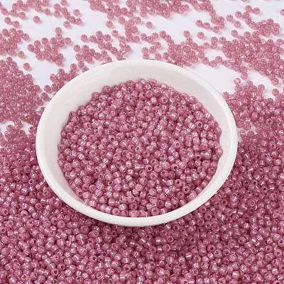 MIYUKI Round Rocailles Beads X-SEED-G008-RR0556-1