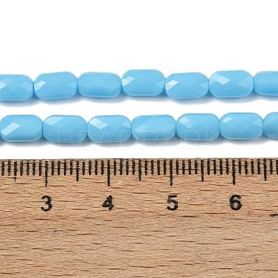 Opaque Glass Beads Strands GLAA-Z018-D20-1
