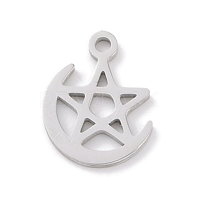 Non-Tarnish 304 Stainless Steel Charms STAS-K286-01F-P-1