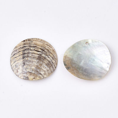 Natural Akoya Shell Pendants SHEL-T012-46-1