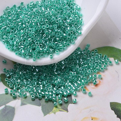 MIYUKI Delica Beads SEED-JP0008-DB0238-1