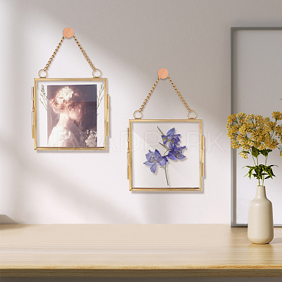 Hanging Pressed Flower Alloy Photo Frames ODIS-WH0002-71G-1
