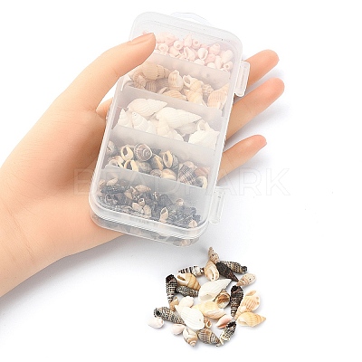 5 Styles Mixed Natural Shell Beads SSHEL-YW0001-04-1