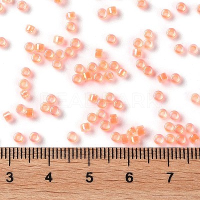 Glass Seed Beads SEED-S042-13A-06-1