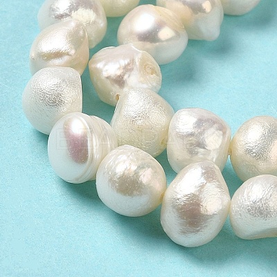 Natural Cultured Freshwater Pearl Beads Strands PEAR-E017-18-1