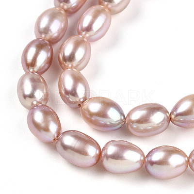 Natural Cultured Freshwater Pearl Beads Strands PEAR-N012-AA-03-1