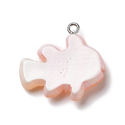Opaque Resin Pendants X-RESI-D055-091P-01-1