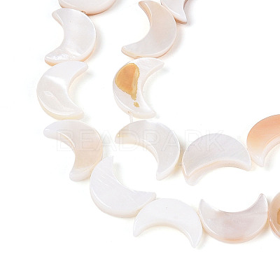 Natural Freshwater Shell Beads Strands SHEL-Q024-015B-01-1