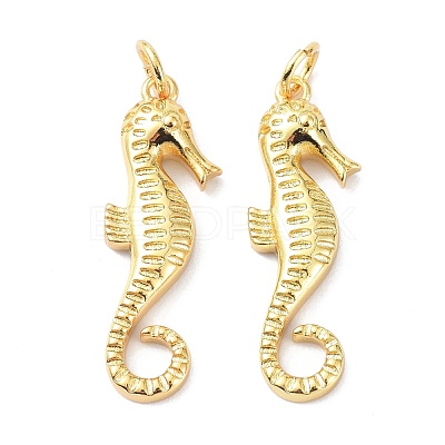 Eco-Friendly Brass Pendants KK-C221-04G-1