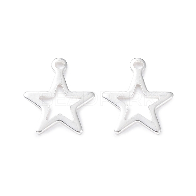 304 Stainless Steel Charms STAS-L234-095S-1