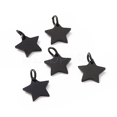 304 Stainless Steel Charms STAS-Q201-T461B-1