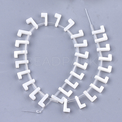 Natural Freshwater Shell Beads SHEL-T012-59L-1
