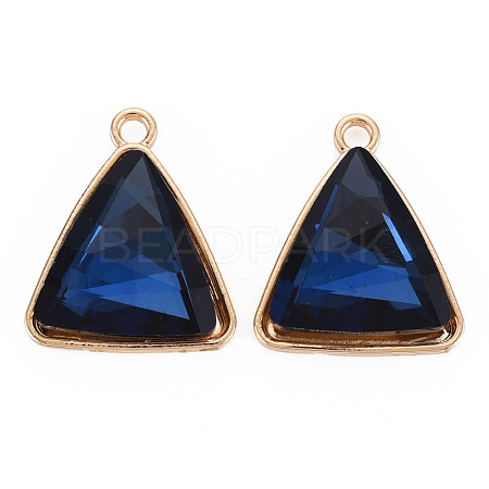 Faceted Glass Pendants PALLOY-N167-02-01LG-RS-1