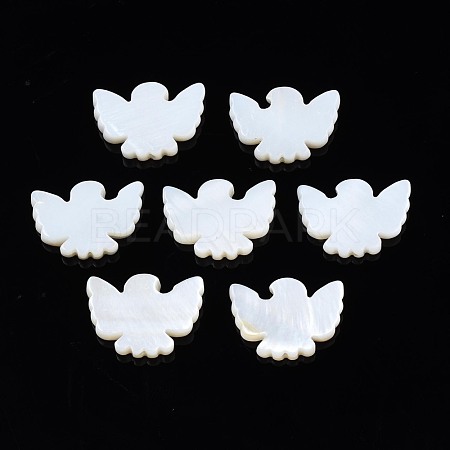 Natural Freshwater Shell Beads SHEL-N026-76-01-1