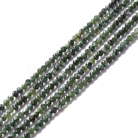 Natural Seraphinite Beads Strands LS-G-A021-07B-1