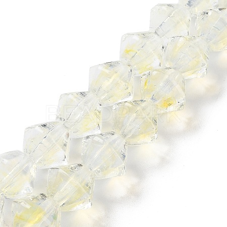 Handmade Lampwork Beads Strands LAMP-Q036-03D-1