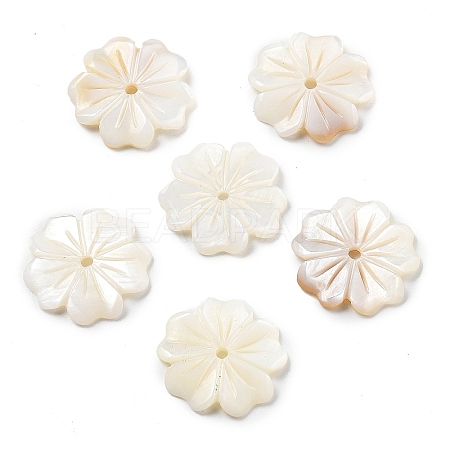 Natural Freshwater Shell Beads SHEL-Z002-02-1