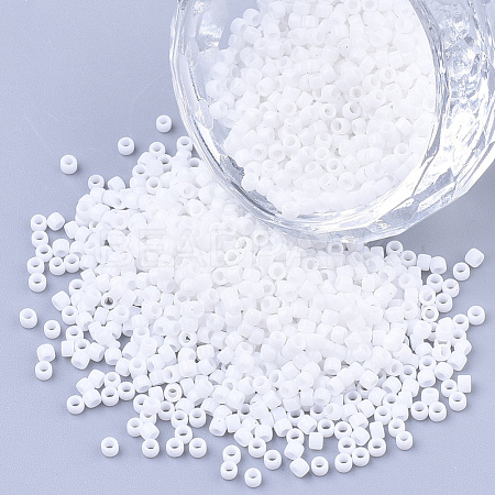 Baking Paint Cylinder Seed Beads SEED-Q036-02A-D18-1