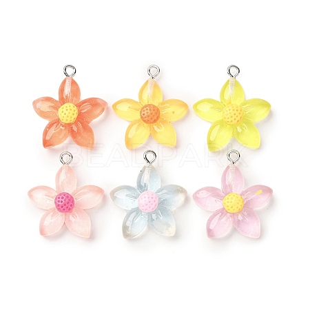 Transparent Resin Pendants RESI-Z043-04P-1