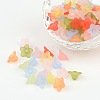 Mixed Color Frosted Transparent Acrylic Flower Beads X-M-PL554-1