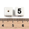 Handmade Porcelain Beads LS-PORC-R003-07-05-3
