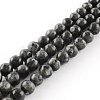 Natural Larvikite Round Beads Strands LS-G-R342-10mm-09-1