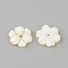 Natural Freshwater Shell Beads SHEL-Q008-53-2