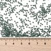 MIYUKI Round Rocailles Beads SEED-JP0010-RR4481-4