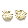 Alloy Pendants PALLOY-N157-003A-NR-2