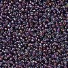 MIYUKI Round Rocailles Beads SEED-G007-RR1013-3