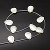 Natural Trochid Shell/Trochus Shell Beads Strands SSHEL-K009-12-2