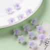 Transparent Acrylic Beads TACR-S152-02C-SS2114-6
