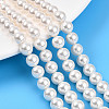 Baking Paint Pearlized Glass Pearl Bead Strands HY-N002-8mm-A11-1